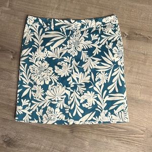 Ann Taylor skirt